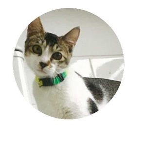 Meet your Posher, Chung